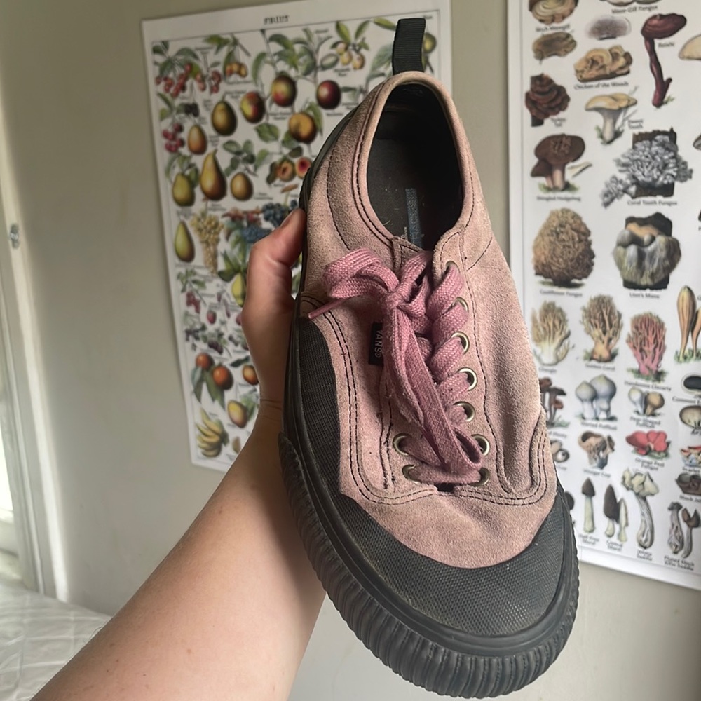 Vans skate shoes